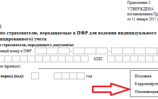 Новые бланки персонифицированного учета СЗВСТАЖ ОДВ1 СЗВКОРР и СЗВИСХ