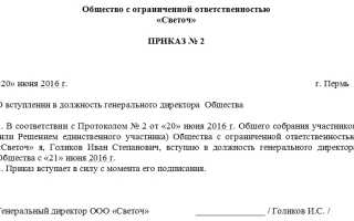 Приказ о назначении на должность генерального директора образец