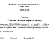 Образец приказа о вступлении в должность генерального директора ООО